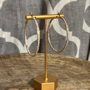 Chic Gold Hoop Earrings